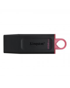 Kingston Exodia 256GB USB Stick - Zwart